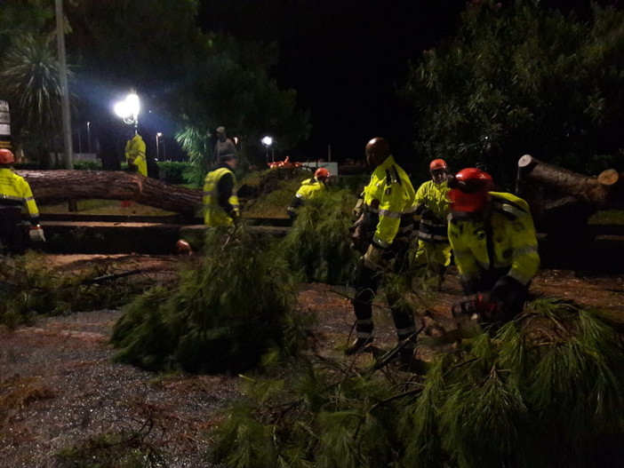 Dopo il forte vento di ieri lunga serie di interventi dei Vigili del Fuoco in tutta la provincia per alberi pericolanti