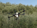 Via libera ai droni in agricoltura: nuove opportunità per gli oliveti liguri Via libera ai droni in agricoltura: nuove opportunità per gli oliveti liguri