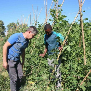 Maltempo: una frana su quattro colpisce i terreni agricoli, Confagricoltura “Basta con l’emergenza prevedibile”
