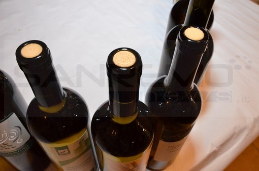 Acquetico: domenica 11 settembre una mattinata di degustazione con il Rotaract Imperia a scopo benefico Acquetico: domenica 11 settembre una mattinata di degustazione con il Rotaract Imperia a scopo benefico