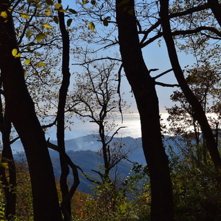 Parco delle Alpi Liguri: Confesercenti "Ennesima gestione fallimentare di istituzioni pubbliche importanti"