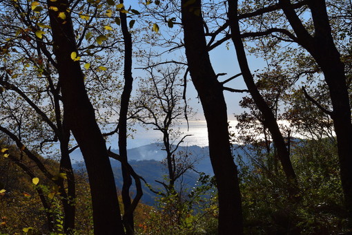 Parco delle Alpi Liguri: Confesercenti "Ennesima gestione fallimentare di istituzioni pubbliche importanti" Parco delle Alpi Liguri: Confesercenti "Ennesima gestione fallimentare di istituzioni pubbliche importanti"