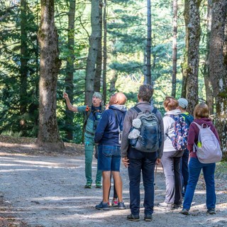 Castello di Casotto: arrivano i trekking d'autunno