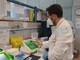 Coronavirus: numeri in netta discesa anche oggi in Liguria e in provincia, tasso di positività al 5%