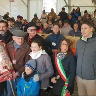 A Carrù torna la magia della Fiera Nazionale del Bue Grasso: ottanta i capi in mostra nella prima giornata di premiazione