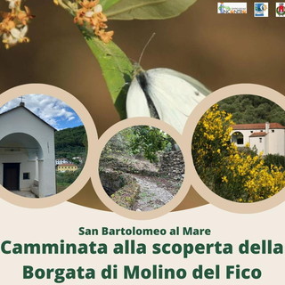 San Bartolomeo al Mare: sabato camminata a Molino del Fico, sull'antico sentiero tra Borgata Richieri e Pairola San Bartolomeo al Mare: sabato camminata a Molino del Fico, sull'antico sentiero tra Borgata Richieri e Pairola