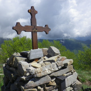 Rezzo: escursione nel bosco con le guide ambientali di Ponente Experience Rezzo: escursione nel bosco con le guide ambientali di Ponente Experience
