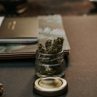 Cannabis terapeutica: Coldiretti “L’opportunità di una filiera 100% made in italy”
