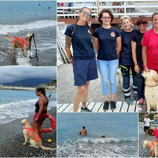 Cani bagnino, nell'Imperiese Scott ed Elly salvano persone in difficoltà in acqua (Foto e video)