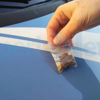 Imperia: 'Scuole sicure', controlli antidroga con il cane 'Kora' questa mattina all'Ipsia di via Gibelli (Foto) Imperia: 'Scuole sicure', controlli antidroga con il cane 'Kora' questa mattina all'Ipsia di via Gibelli (Foto)
