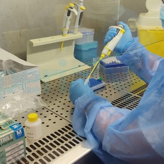 Coronavirus: sale nuovamente (14,63%) il tasso di positività ma calano i ricoveri in provincia