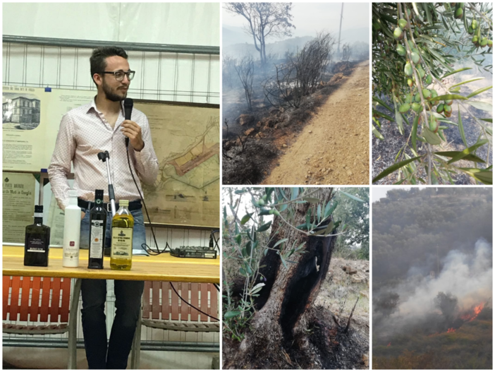 Incendio di Costa d'Oneglia, danni per 10 mila euro il presidente di Agia-Cia Gastaldi: "Inammissibile il cessato stato di allerta" Incendio di Costa d'Oneglia, danni per 10 mila euro il presidente di Agia-Cia Gastaldi: "Inammissibile il cessato stato di allerta"