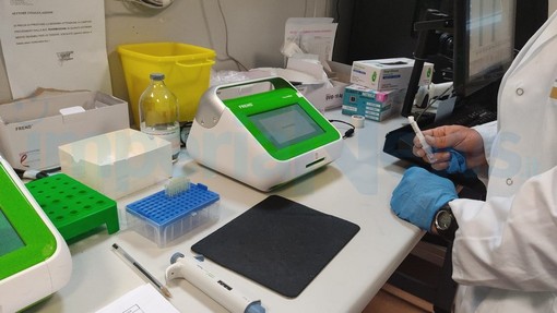 Coronavirus: crescono di poco i nuovi casi ma continua a scendere il tasso di positività, ricoveri stabili Coronavirus: crescono di poco i nuovi casi ma continua a scendere il tasso di positività, ricoveri stabili