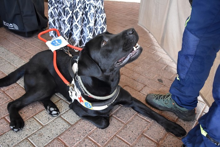 (Immagine generica) (Immagine generica)