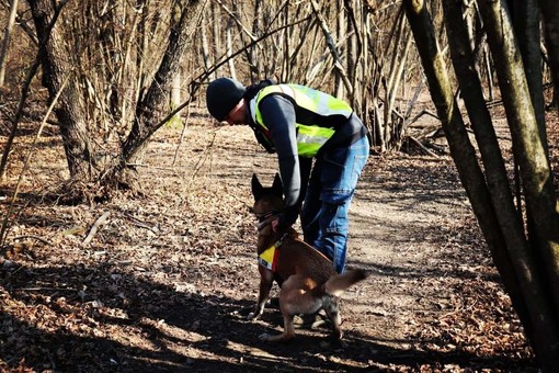 Cervo: domenica scorsa al Parco del Ciapà la prova di operatività per cani da ricerca e soccorso