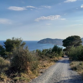 Parco del Ciapà di Cervo