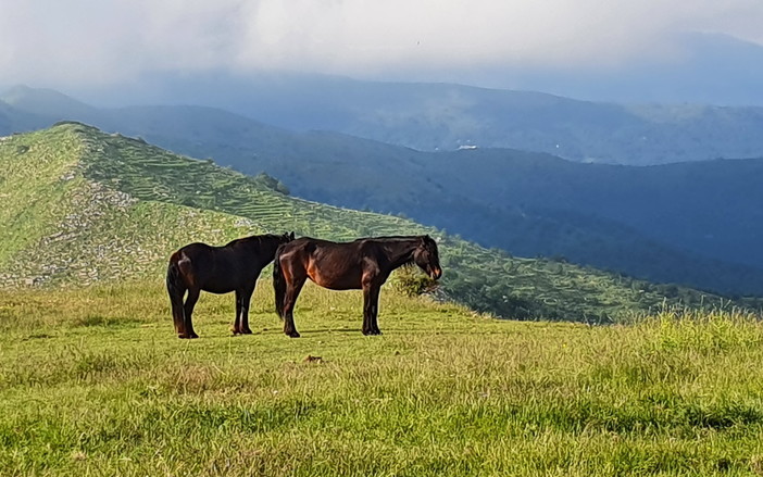 Sui sentieri dell'entroterra ligure di Ponente e sulle Alpi, settimane ricche di escursioni con "Monesi Young" da domani a mercoledì Sui sentieri dell'entroterra ligure di Ponente e sulle Alpi, settimane ricche di escursioni con "Monesi Young" da domani a mercoledì
