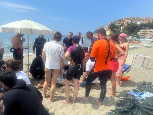 Anche Asl 1 ha partecipato al 'Rescue team' ligure per salvare i cetacei spiaggiati (Foto)