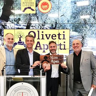 Il 18 e 19 giugno torna 'Oliveti Aperti', la Liguria celebra l’olivicoltura eroica da Ponente a Levante