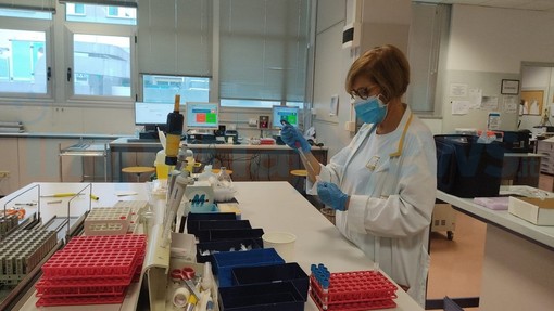 368 nuovi positivi Covid in provincia di Imperia, 128mila i guariti da inizio pandemia in Liguria