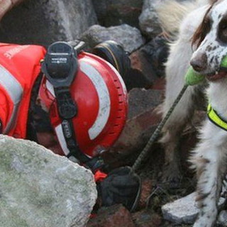 Cervo: domenica prossima al parco del Ciapà una prova di operatività per cani da ricerca e soccorso