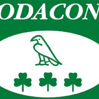 Badalucco, Dolceacqua, Mendatica, Ospedaletti, Perinaldo e Rezzo si contendono il premio “Piccolo comune amico” Badalucco, Dolceacqua, Mendatica, Ospedaletti, Perinaldo e Rezzo si contendono il premio “Piccolo comune amico”