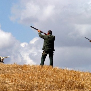 Caccia: approvato il calendario venatorio, posticipata la caccia cinghiale, consentita dal 6 ottobre al 6 gennaio