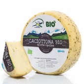 Spedizioni in tutta Italia con Lattebusche Spedizioni in tutta Italia con Lattebusche