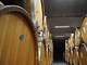 Alla cantina Terre del Barolo un ricco autunno tra vendemmia, fine lavori nei nuovi locali e la novità dello spumante metodo Classico Extra Brut Blanc De Blancs