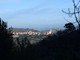 A Civezza appuntamento con l'evento 'Uliveti, erbe e degustazione con Natalino Trincheri' A Civezza appuntamento con l'evento 'Uliveti, erbe e degustazione con Natalino Trincheri'