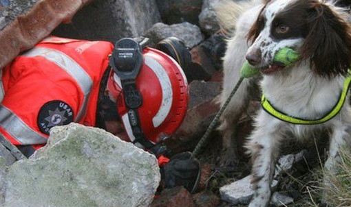 Cervo: domenica prossima al parco del Ciapà una prova di operatività per cani da ricerca e soccorso