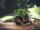 CBD e Meditazione: un'accoppiata perfetta?