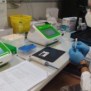 Coronavirus: nuovi contagi sempre a 1.000 in provincia di Imperia ma cala lievemente il tasso di positività Coronavirus: nuovi contagi sempre a 1.000 in provincia di Imperia ma cala lievemente il tasso di positività