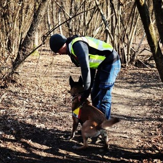 Cervo: domenica scorsa al Parco del Ciapà la prova di operatività per cani da ricerca e soccorso