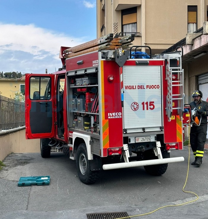 Imperia: si incastra nel tunnel sotto l'ex ferrovia dell'argine sinistro, camion semidistrutto (Foto) Imperia: si incastra nel tunnel sotto l'ex ferrovia dell'argine sinistro, camion semidistrutto (Foto)