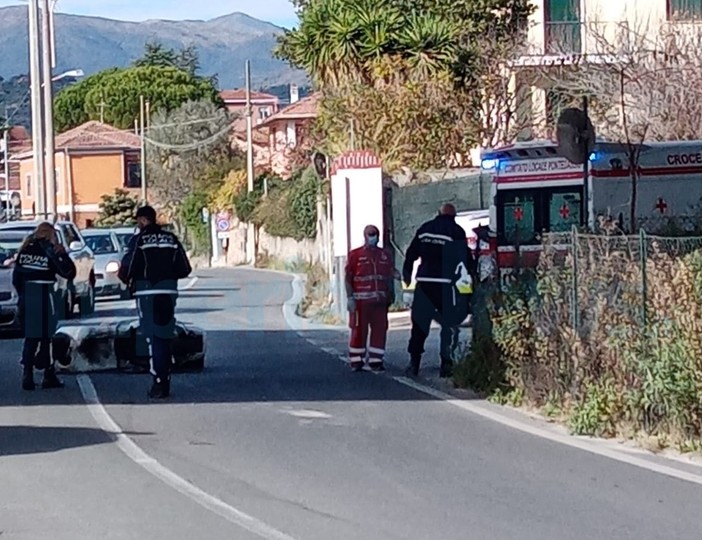 Imperia: cinghiale 'investe' un uomo sullo scooter, centauro soccorso e portato in ospedale (Foto)