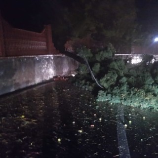 Le immagini del maltempo in provincia