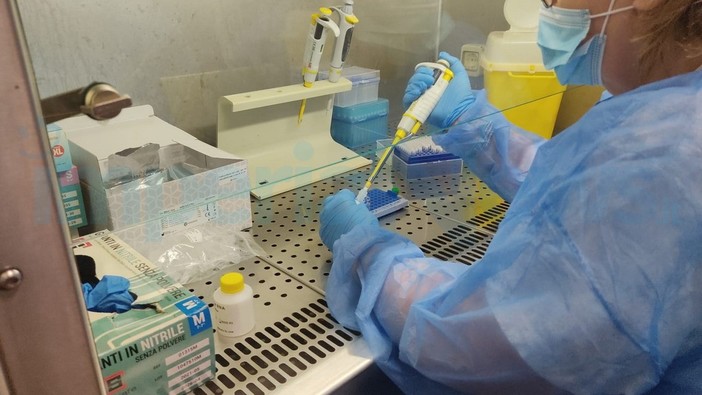 Covid, oggi 36 nuovi positivi nell'imperiese. Aumentano in Liguria i ricoverati e le persone in quarantena Covid, oggi 36 nuovi positivi nell'imperiese. Aumentano in Liguria i ricoverati e le persone in quarantena