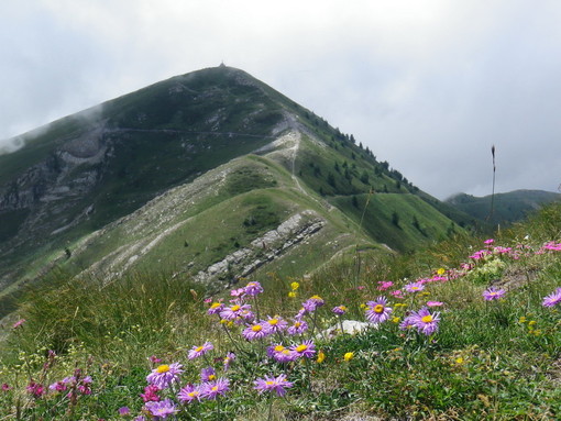 Domenica prossima, escursione al Monte Garlenda nel Parco Naturale delle Alpi Liguri