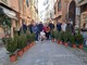 Sanremo: concorso di abeti nel centro storico cittadino