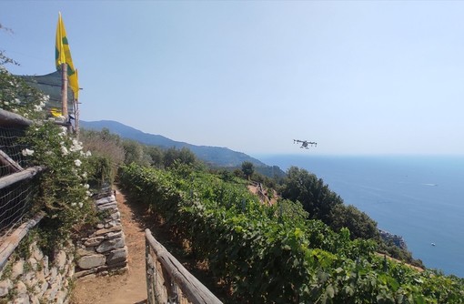Tra Liguria e Piemonte: gemellaggio Langhe-Cinque Terre per svolta green coi droni Tra Liguria e Piemonte: gemellaggio Langhe-Cinque Terre per svolta green coi droni