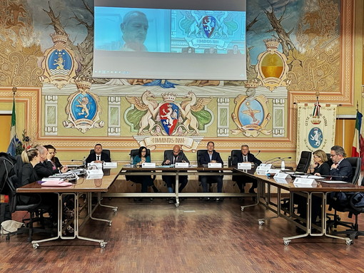 Palasport, allerta meteo e defibrillatori al centro del consiglio comunale di Diano Marina Palasport, allerta meteo e defibrillatori al centro del consiglio comunale di Diano Marina