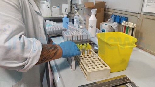 Covid, 19 nuovi casi positivi in provincia di Imperia. Tasso di positività al 4,22 per cento