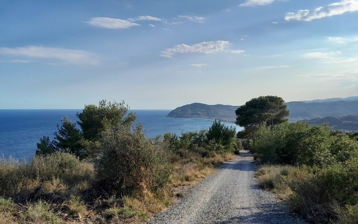 Parco del Ciapà di Cervo