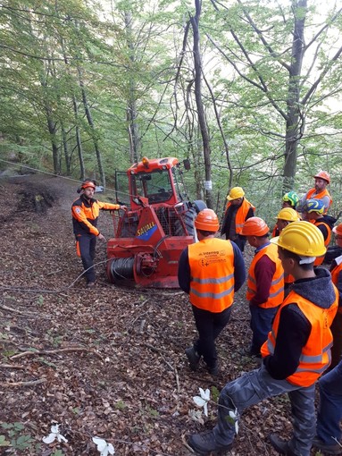 A Cosio d'Arroscia una giornata dimostrativa di tecniche di lavoro in bosco organizzata da Regione Liguria e ACAL