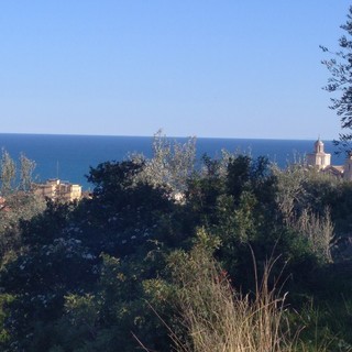 Imperia:  uniti per una collina ecologica (l’Armanna e la Romita) con l’associazione  ‘Alla Radice della Vita’