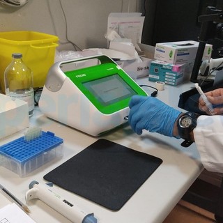 Coronavirus: tornano a salire i contagi a Sanremo e Imperia, calano invece a Taggia. Focolai a Pieve di Teco e Pornassio