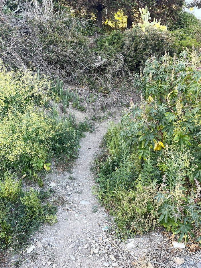 Imperia: degrado e criticità in zona Collarina, Imperia Rinasce "Il mare erode la pista ciclabile " (Foto) Imperia: degrado e criticità in zona Collarina, Imperia Rinasce "Il mare erode la pista ciclabile " (Foto)