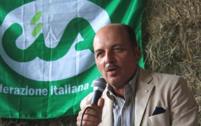 Olioliva Imperia: scenari per le aziende olivicole liguri, un convegno con il presidente nazionale CIA Olioliva Imperia: scenari per le aziende olivicole liguri, un convegno con il presidente nazionale CIA