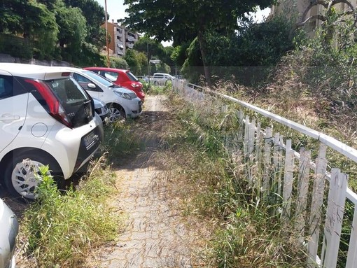 Imperia: erbacce, topi e degrado in via Generale Dalla Chiesa, i residenti "Non ne possiamo più" (Foto)